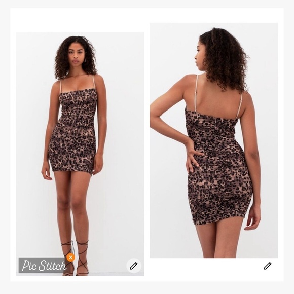 Aritzia Babaton Luxor Dress Animal Print Bodycon - Picture 1 of 12